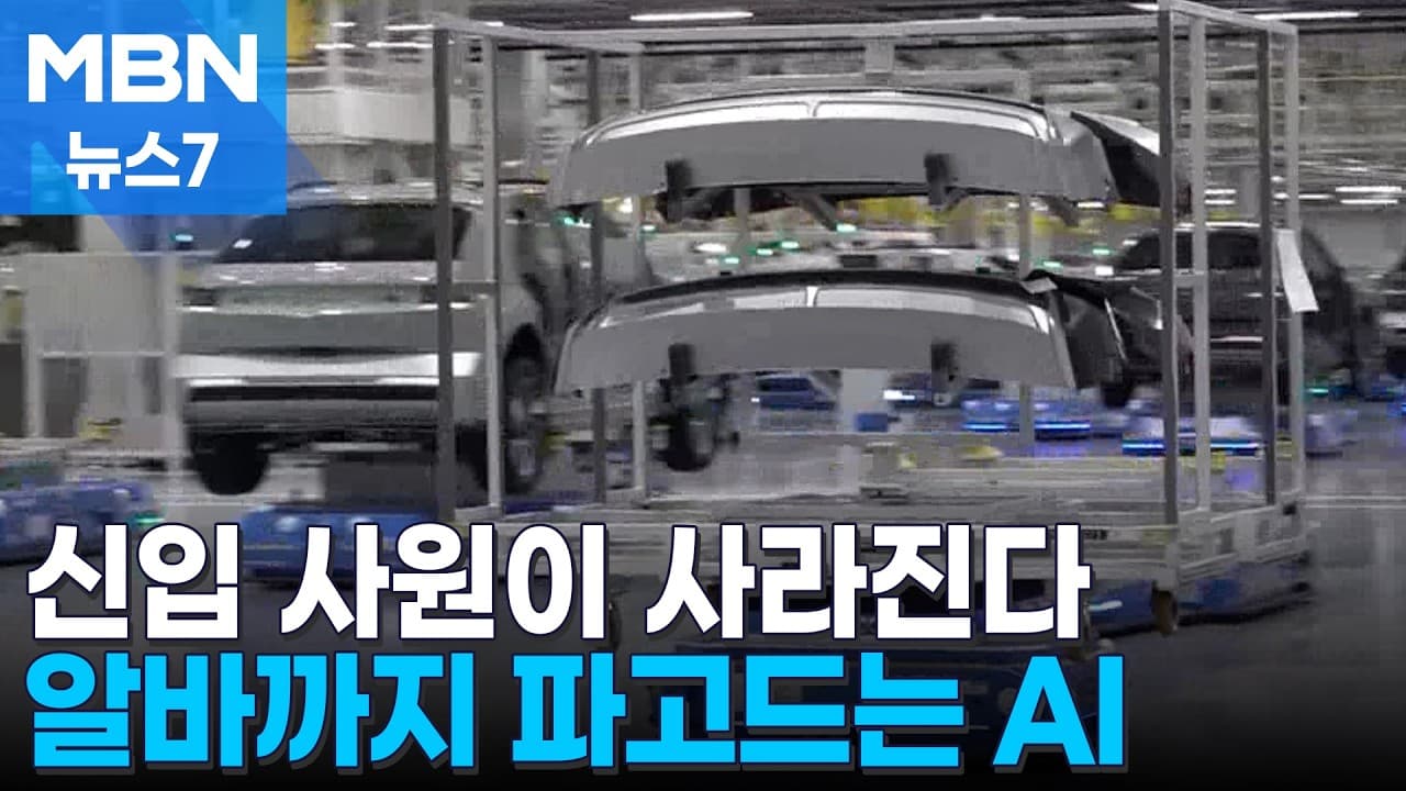 '전문직도 알바도' AI가 일자리 대체…정부 대응은 '제자리' [MBN 뉴스7]